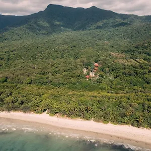 Pk's Jungle Village Hostel Cape Tribulation